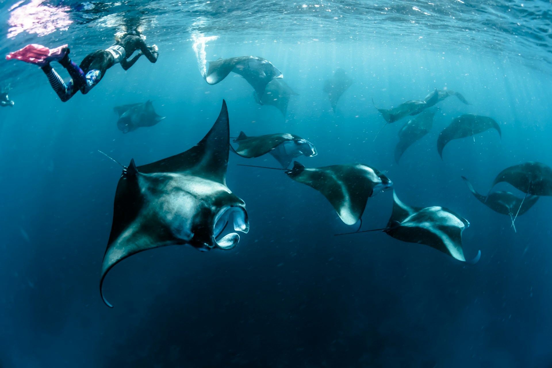 tkdroadtour_scubadiving